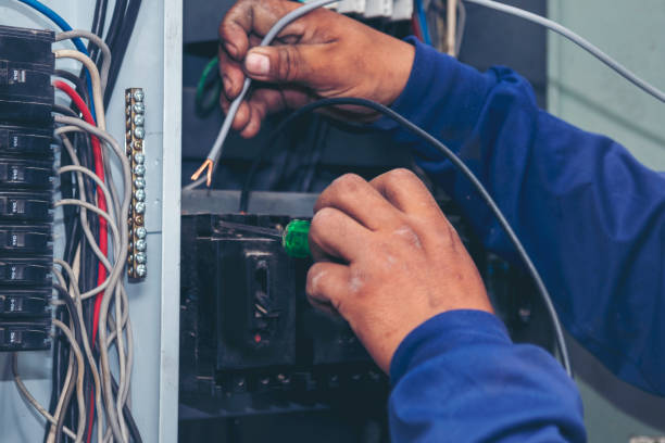 Best Electric Panel Repair  in West Plains, MO